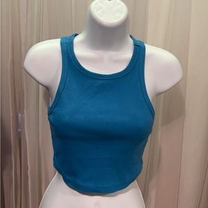 Blue Wild Fable Crop Top